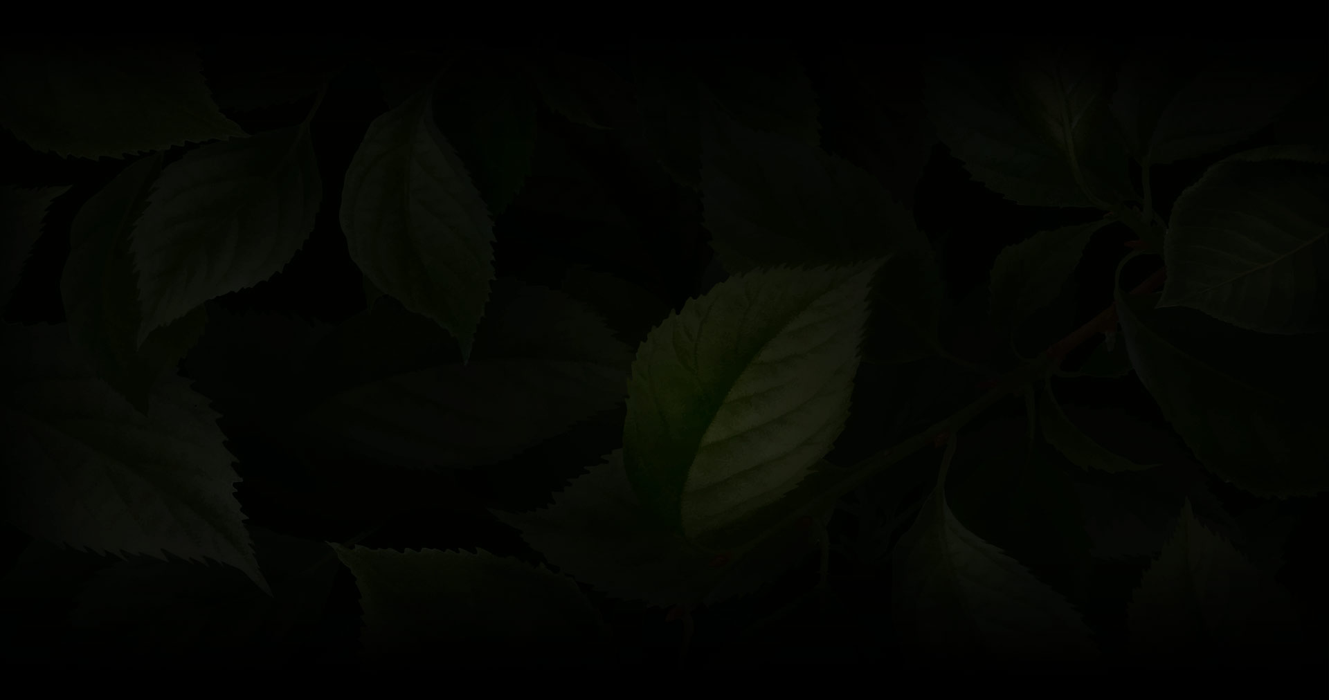 parallax background